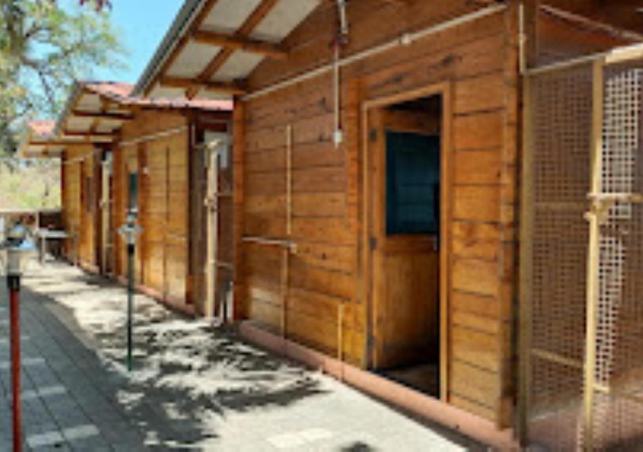 Kaas Woods Resort Yavateshwar Satara Eksteriør billede